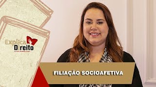 Explica Direito Filiação Socioafetiva  2019 [upl. by Tomkins]